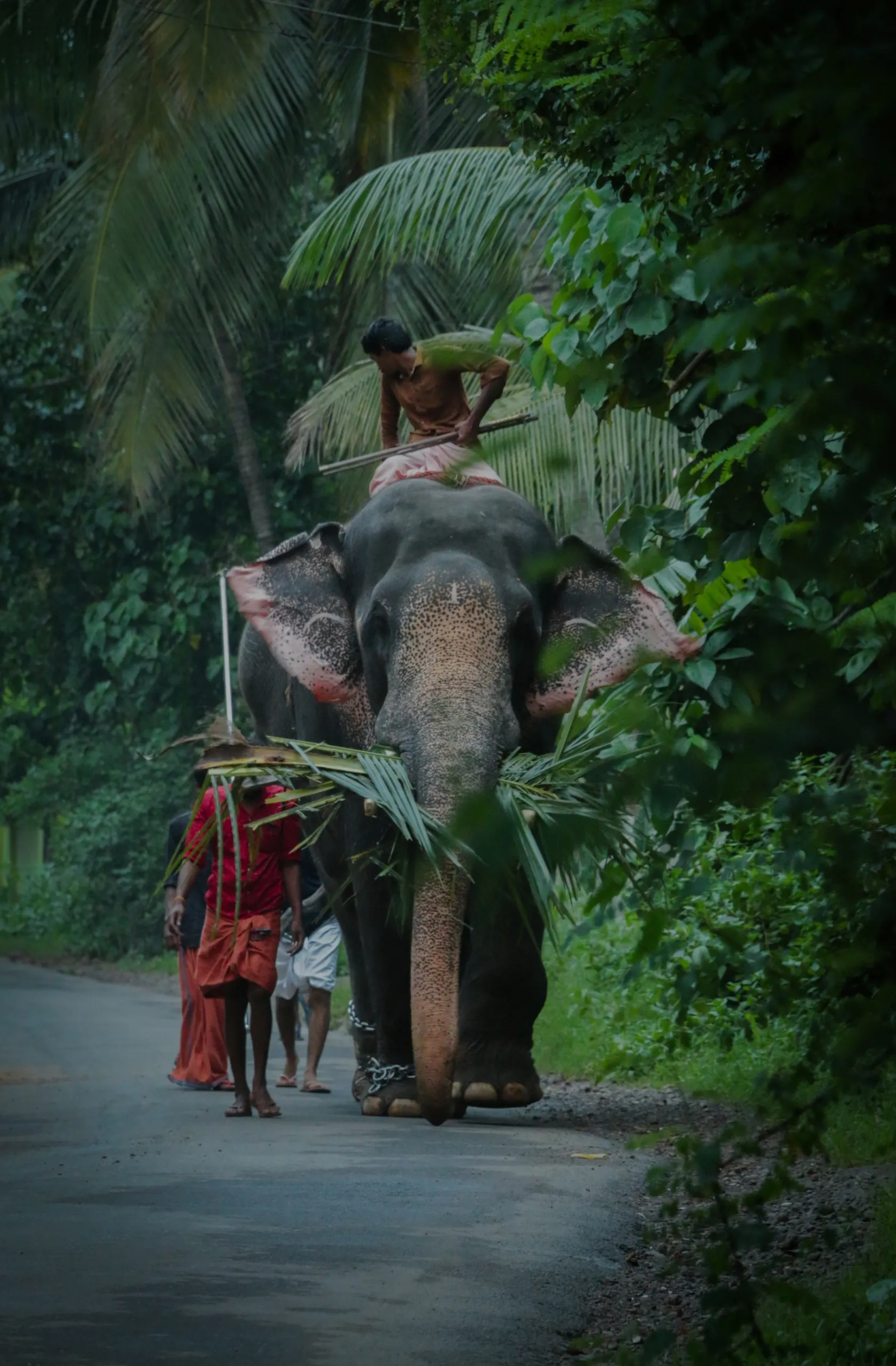 2 Nights 3 Days Kerala Munnar Tour Package